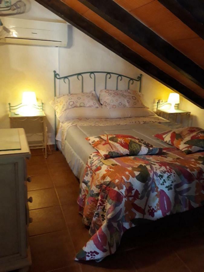 Chalet La Huerta 2 Amplios Jardines Barbacoa Y Wifi 科尼尔-德拉弗龙特拉 外观 照片